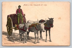 1909 Messina Sicily Wine Transport Postcard Oxen Horse Cart Italian Life