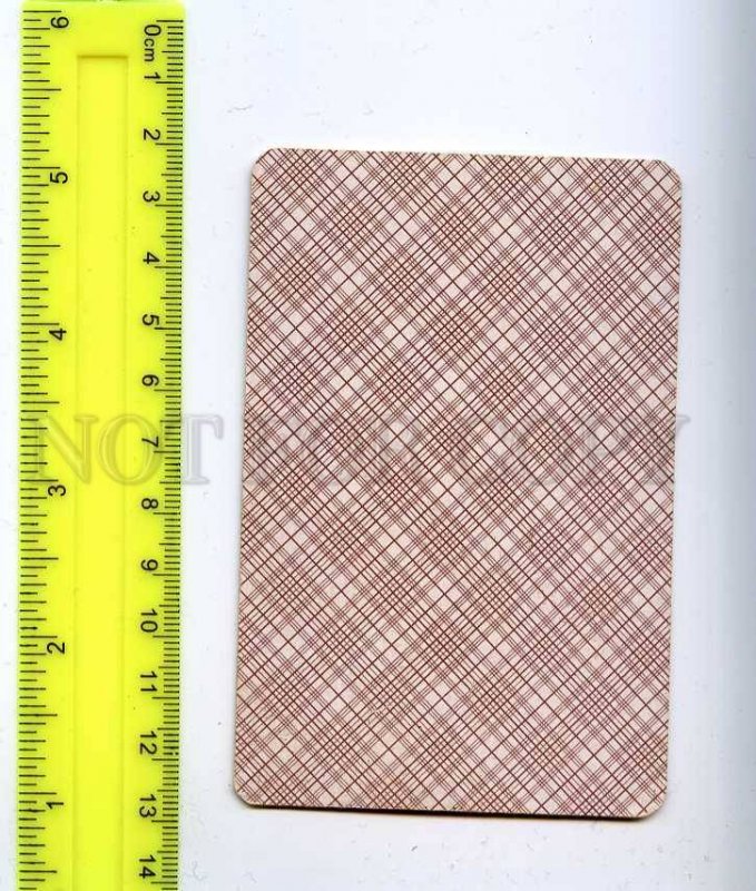 222903 Anton CHEKHOV Great Russian WRITER vintage playing CARD