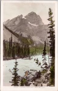 Mount Stephen near Field BC British Columbia Unused RPPC Postcard D39