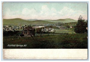 1913 Scenic View Houses Trees Richfield Springs New York Vintage Posted Postcard