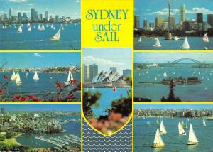 BR101960 sydney under sail   australia