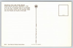 Cedar Breaks Monument UT~Air View Brianhead Peak & Cedar Breaks~Vintage Postcard