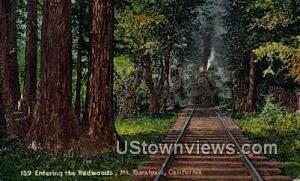 Redwood Forest Mt. Tamalpais CA Unused