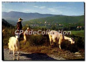 Postcard Modern Landscape Lamalou Les Bains