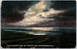 VINTAGE POSTCARD THE SLIVERY SEA BY MOONLIGHT AT WILDWOOD N.J. POSTED 1911