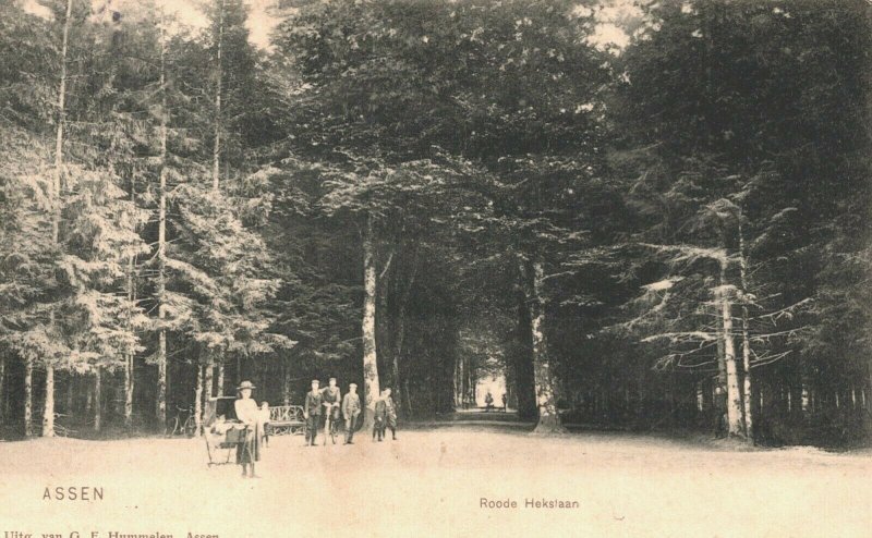 Netherlands Assen Rode Heklaan Vintage Postcard 04.06