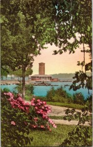 Lake Front Vista Chautaugua New York Lake Hand Colored Vintage Postcard Vtg UNP 