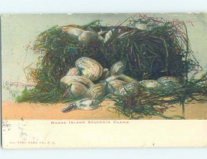 Divided-back RHODE ISLAND CLAMS Postmarked Providence Rhode Island RI AD7994