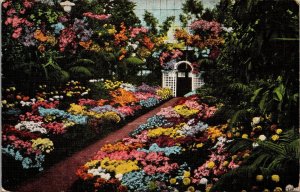 Shaw's Garden Interior of Greenhouse St. Louis MO Postcard PC103