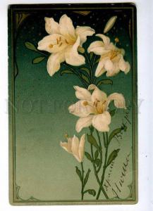 235067 ART NOUVEAU Flowers Lily KLEIN Vintage Meissner #1203