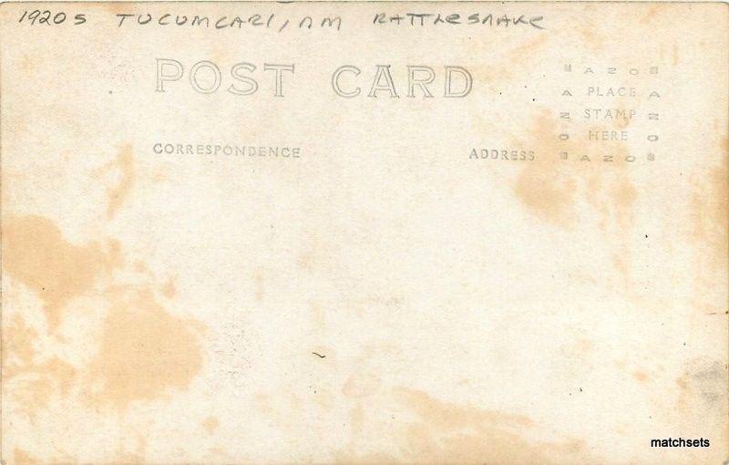 1920s Tucumcari New Mexico Rattlesnake RPPC Real Photo postcard 3956