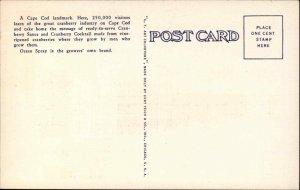 Onset Cape Cod MA Cranberry Giant Bottle Linen Advertising Postcard