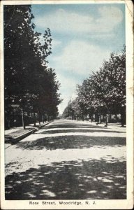 Woodridge New Jersey NJ Rose Street c1920 Vintage Postcard
