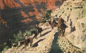 Postcard Arizona Grand Canyon C-1910 Fred Harvey 23-7896