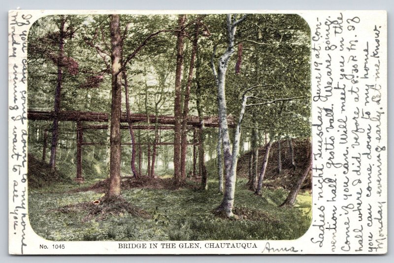 Buffalo New York~Bridge in the Glen @ Chautauqua~Ladies Night @ Convention Hall
