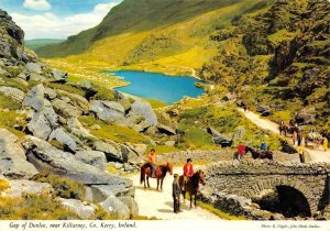 GAP OF DUNLOE Killarney, County Kerry IRELAND Horses 4x6 Hinde Vintage Postcard