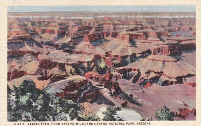 Arizona Grand Canyon Kaibab Trail From Yaki Point Fred Harvey