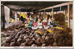 Nassau Bahamas Sponge Packing House Sands Studio Postcard E89 *as is