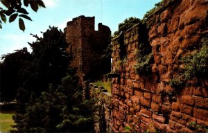 England Chester The City Walls and Water Tower