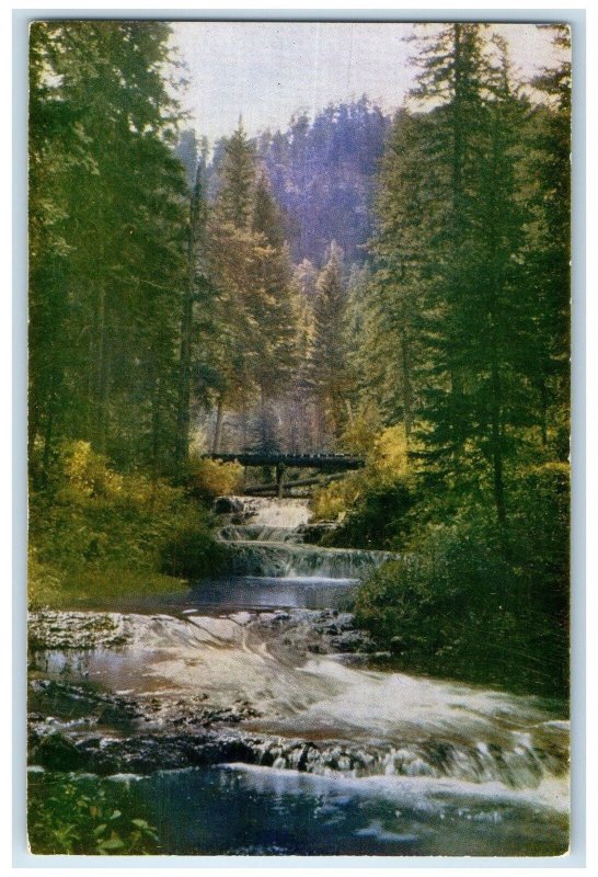 c1940 Malinda Motel Building Restaurant View Brookings South Dakota SD Postcard 