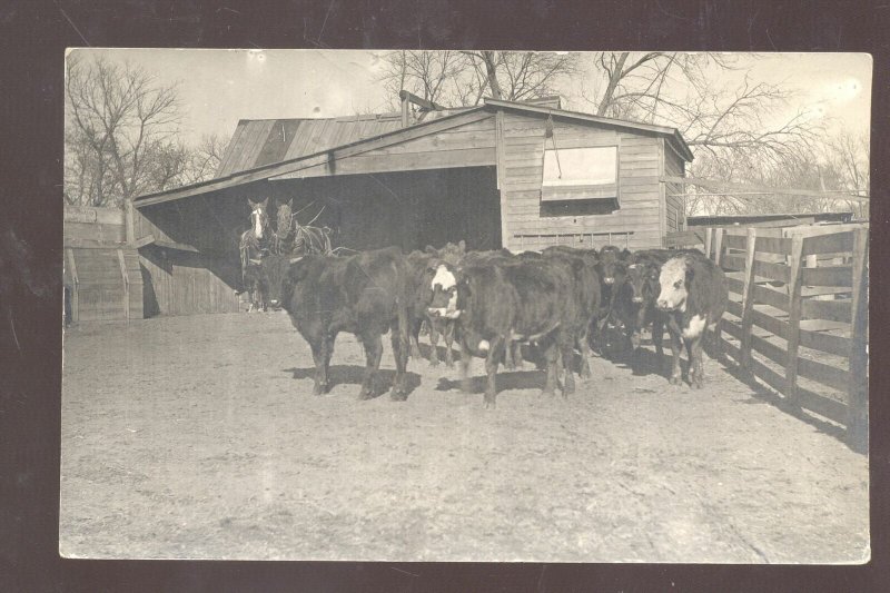 RPPC STROMSBURG NEBRASKA 1913 FARM VETERINARY CATTLE REAL PHOTO POSTCARD