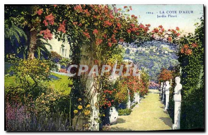 Old Postcard The French Riviera Garden Fleuri