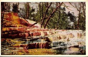 Yellowstone National Park Angel Terrace Mammoth Hot Springs