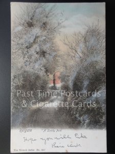 c1905 Surrey: Reigate A Lonely Path showing a Frosty day, by The Wrench Series