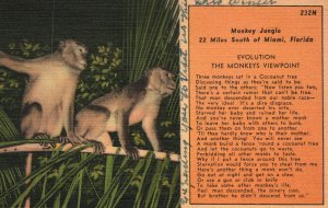Miami Florida FL, 1952 Monkey Jungle Evolution Viewpoint South Vintage Postcard