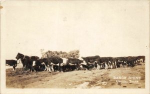 G37/ Groom Texas RPPC Postcard c1920s Ranch Scene Cows Horses Farm