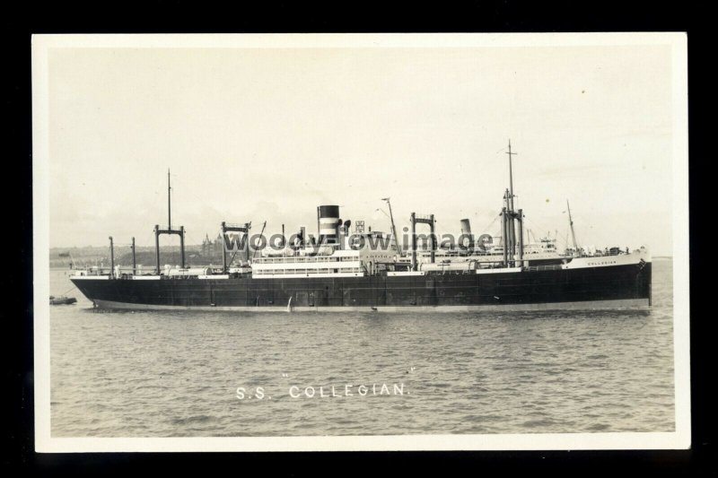 bf828 - Harrison Line Cargo Ship - Collegian - postcard by B Feilden