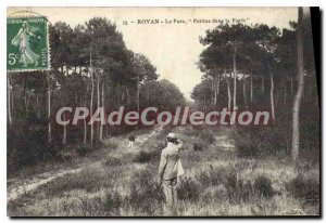 Old Postcard Royan Park Lost In The Forest