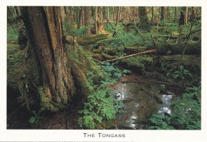 Tongass National Forest AK, Alaska - Largest Temperate Rainforest