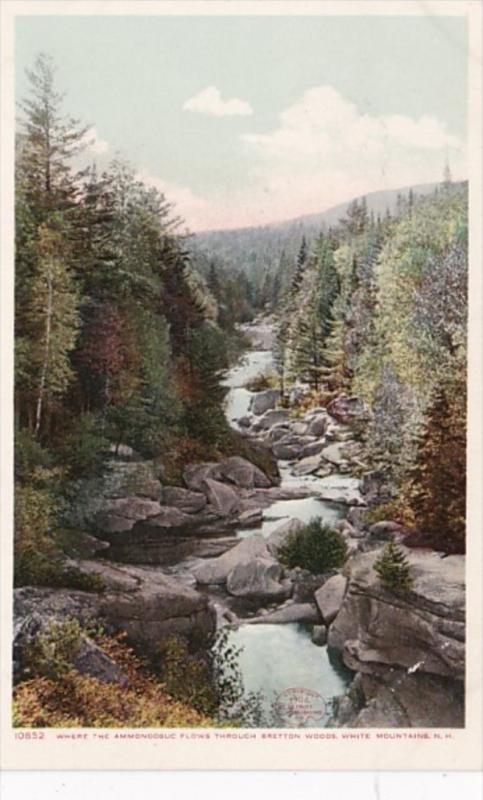 New Hampshire White Mountains Where The Ammonoosuc Flows Through Bretton Detr...