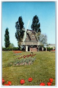 1955 The Quaint Old Dutch Mill In Sunken Gardens Park Pella Iowa IA Postcard