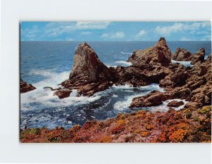 Postcard Rocky Shores USA