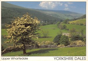 uk46619 upper wharfedale yorkshire dales uk