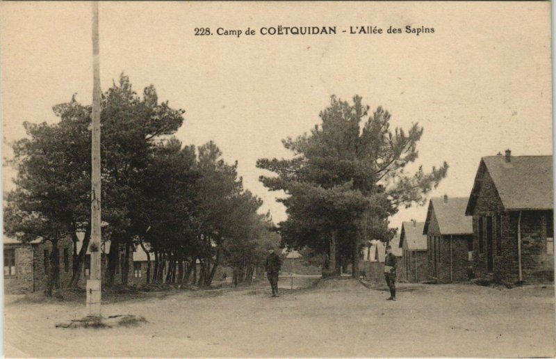 CPA Camp de COETQUIDAN Allée des Sapins (145039)