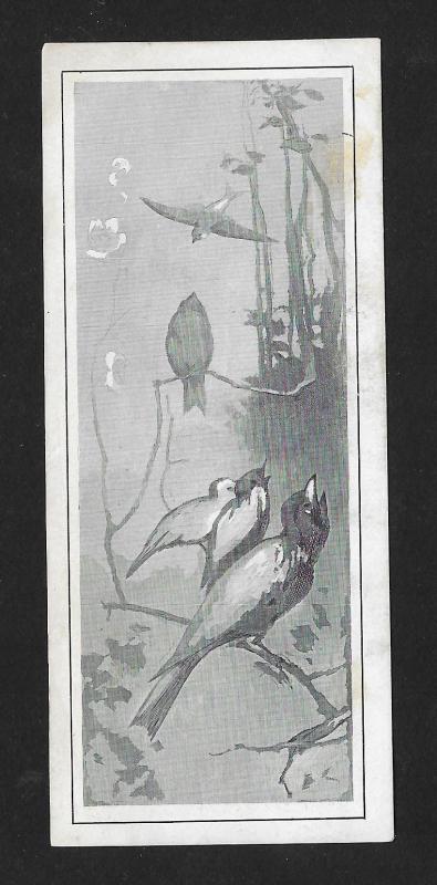 VICTORIAN TRADE CARD California Theater Birds Singing