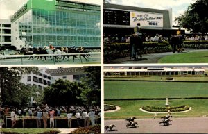 Florida Miami Calder Race Track Horse Racing Multi View