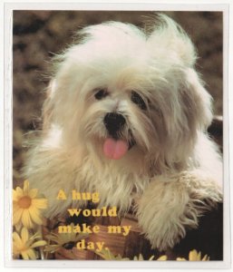 Maltese Dog, A Hug Would Make My Day, 1984 Novelty Russ Coaster Postcard