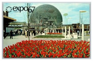 Vintage 1967 Postcard Montreal Expo 67 Pavilion of The United States of America