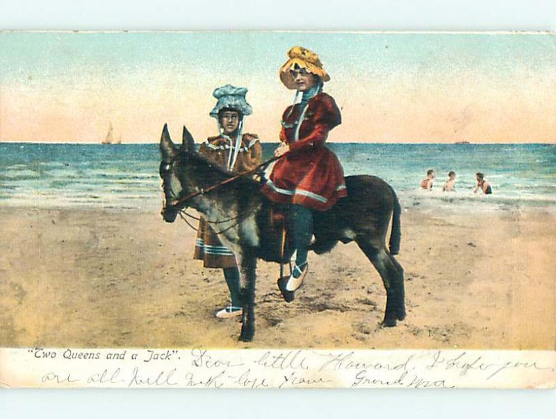 Pre-1907 TWO QUEENS & A JACK - JACKASS DONKEY r1527