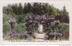 RP; A Rose Walk, The Butchart Gardens, NR. Victoria, British Columbia, Canada...