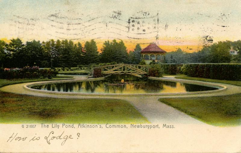 MA - Newburyport. Atkinson's Common, Lily Pond