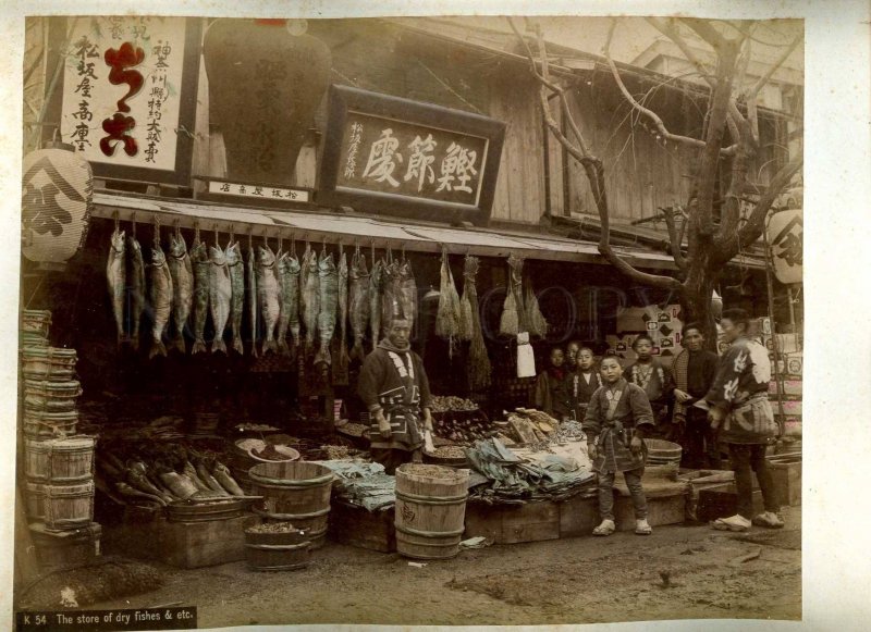 231196 JAPAN Store dry fishes women CABINET two tinted PHOTOS