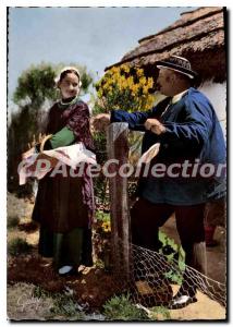 Modern Postcard In the Land Maraichin Departure for the market we dan Inc. Re...