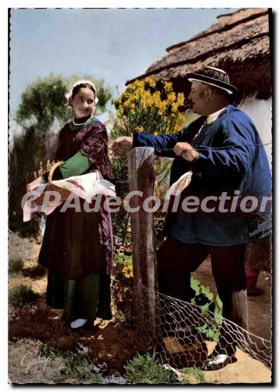 Modern Postcard In the Land Maraichin Departure for the market we dan Inc. Re...