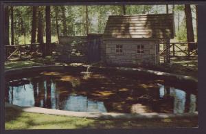 Mill Pond,Story Book Lane,Near Muskegon,MI Postcard