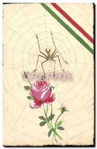 VINTAGE POSTCARD Insects Spider